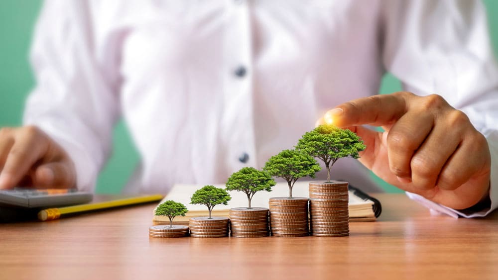 Self-Directed Checkbook IRA investor stacking coins with trees on top to indicate maximizing profits from an investment.