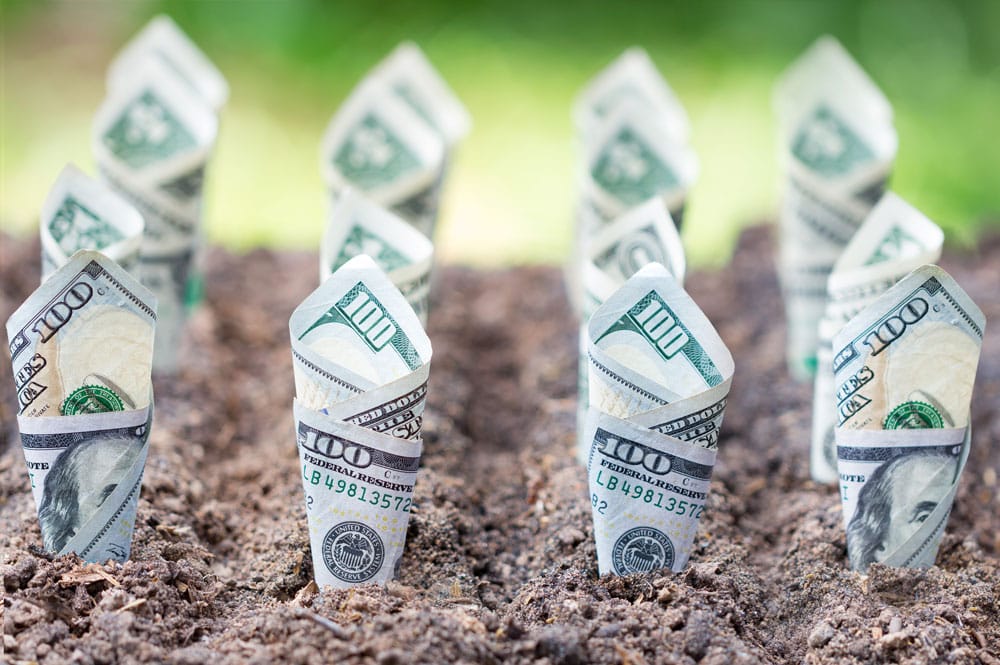 One-hundred-dollar bills growing in the dirt to show the potential of tax-free investment growth and control through a Self-Directed Roth IRA LLC.