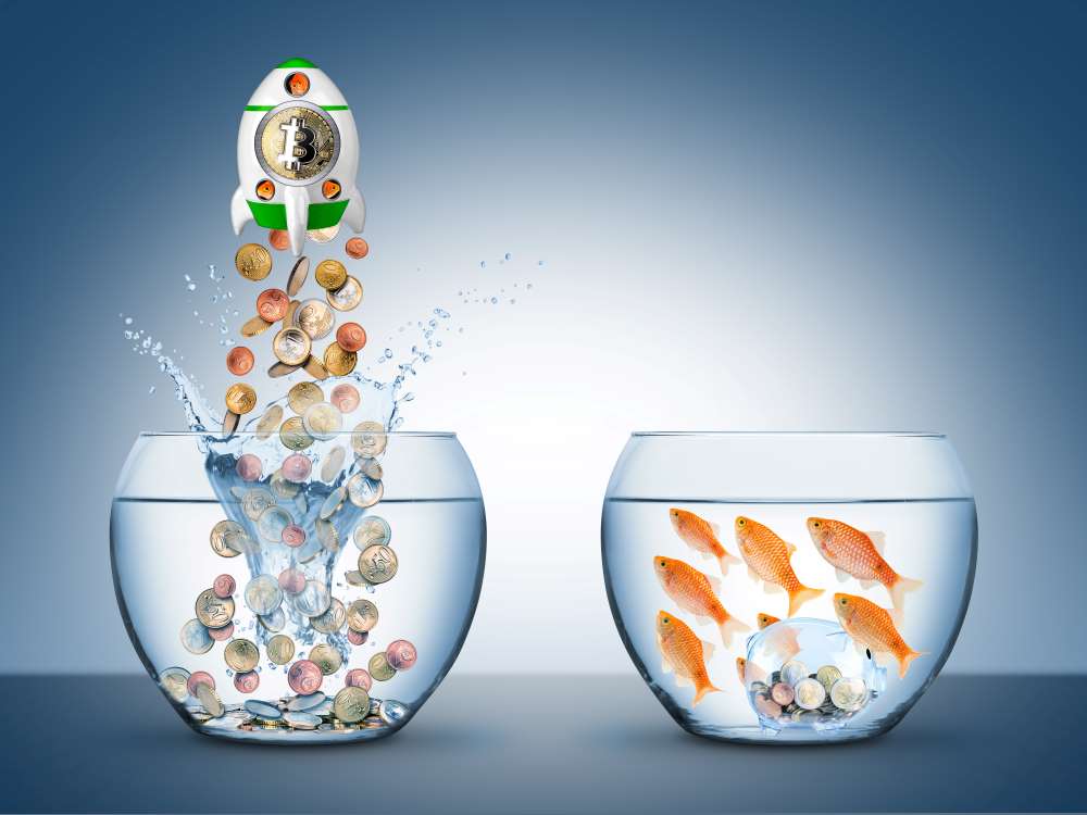 Two fish tanks sit by side, one full of cryptocurrency with a Bitcoin rocket blasting out of its opening, the other full of goldfish watching the earnings of a Checkbook IRA’s increase in real time. 