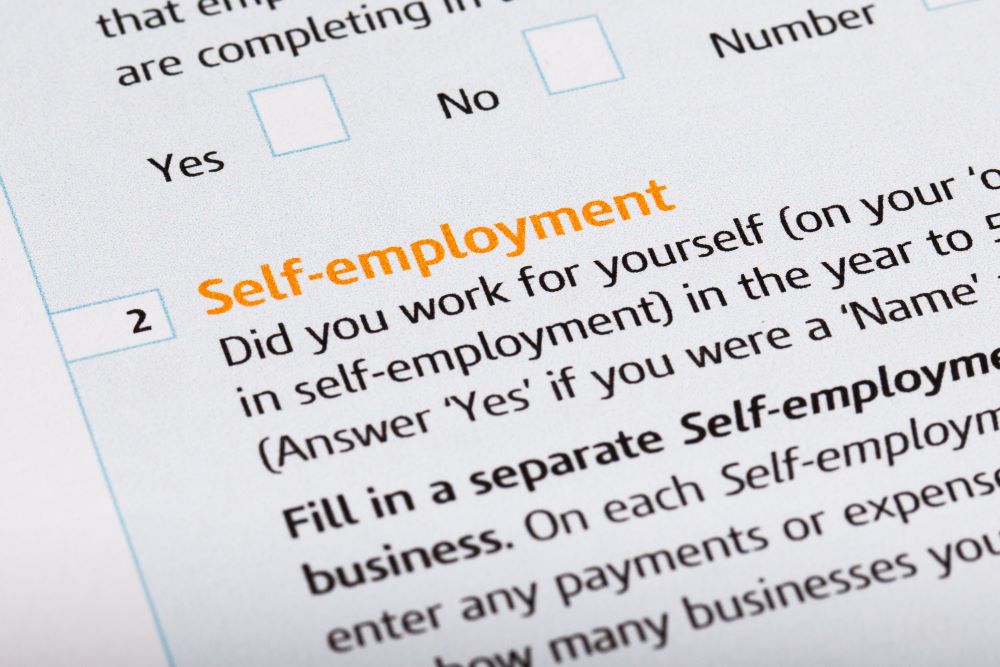 a form with self-employment check box
